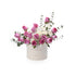 Pink roses and white blooms in a white box reading "You Complete Me".