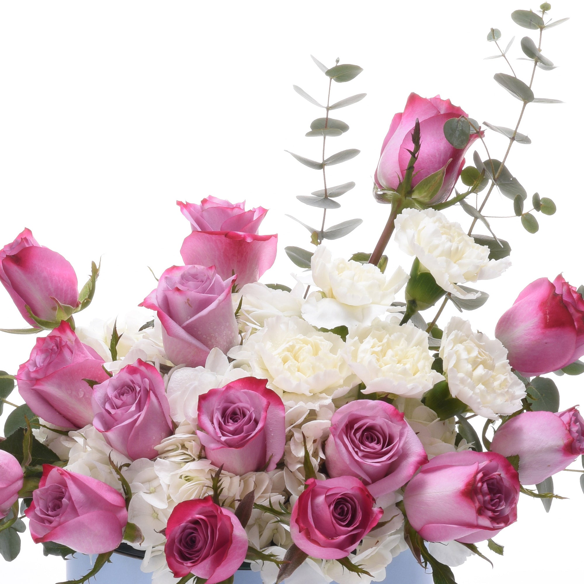 Pink roses, white carnations, eucalyptus in elegant bouquet against pure white background.